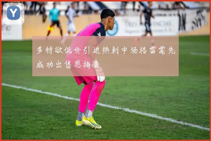多特欲低价引进热刺中场格雷需先成功出售恩梅查